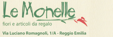 Le Monelle Fiori e Articoli da Regalo