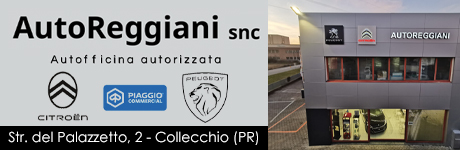 Auto Reggiani