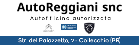 Auto Reggiani