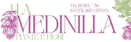 La Medinilla Piante e Fiori