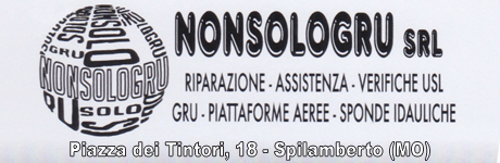 NonSoloGru